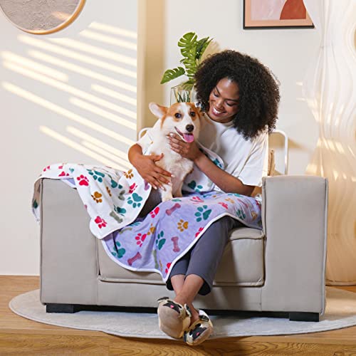 Luciphia 3 Pack Pet Blankets – Soft Coral Velvet Fleece Throw for Dogs & Cats, Paw Bone Print, Machine Washable, Medium 30x20 inches