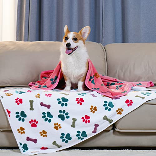Luciphia 3 Pack Pet Blankets – Soft Coral Velvet Fleece Throw for Dogs & Cats, Paw Bone Print, Machine Washable, Medium 30x20 inches