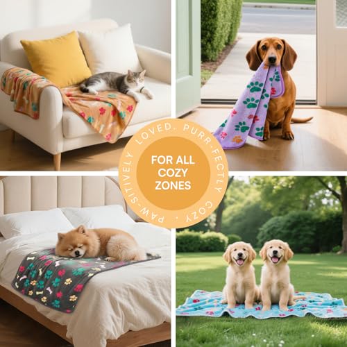 Luciphia 6-Pack Small Dog Blankets - Soft Fleece Coral Velvet Pet Blankets with Bone Print, 23x16 Inches, Machine Washable