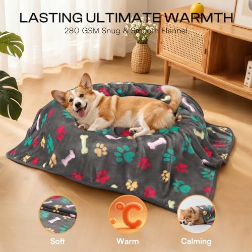 Luciphia 6-Pack Small Dog Blankets - Soft Fleece Coral Velvet Pet Blankets with Bone Print, 23x16 Inches, Machine Washable