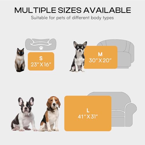 Luciphia 6-Pack Small Dog Blankets - Soft Fleece Coral Velvet Pet Blankets with Bone Print, 23x16 Inches, Machine Washable