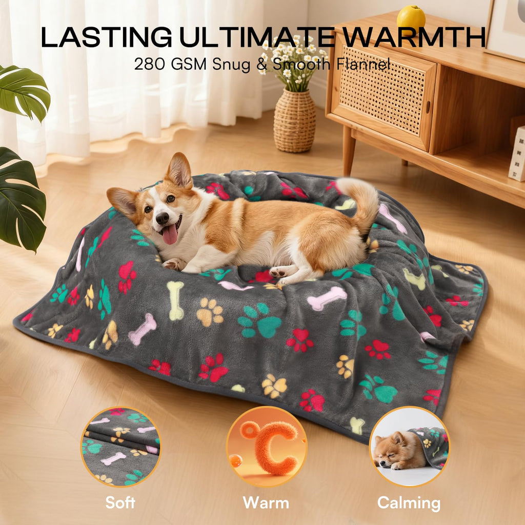 Luciphia 6-Pack Small Dog Blankets - Soft Fleece Coral Velvet Pet Blankets with Bone Print, 23x16 Inches, Machine Washable