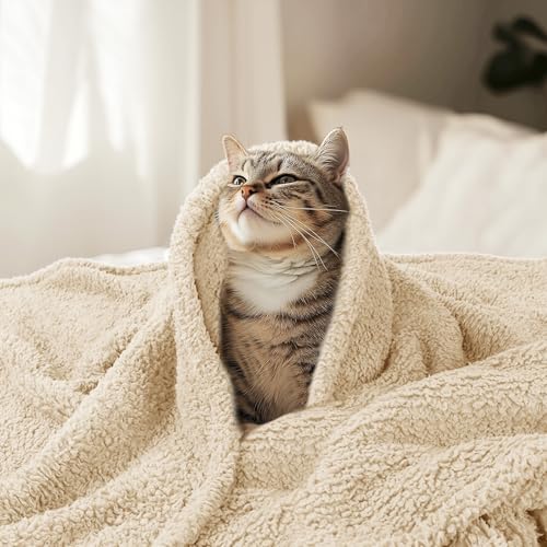 Luciphia Premium Fleece Pet Blanket for Small to Medium Dogs and Cats - 41x31 Inches, Beige, Machine Washable Furniture Protector
