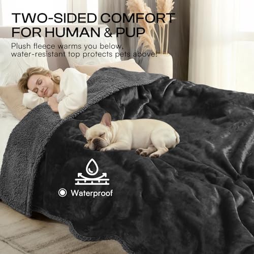 Luciphia Waterproof Pet Blanket - 40x28 Inch Liquid-Proof Couch Cover, Reversible Sherpa Fleece Furniture Protector for Dogs and Cats