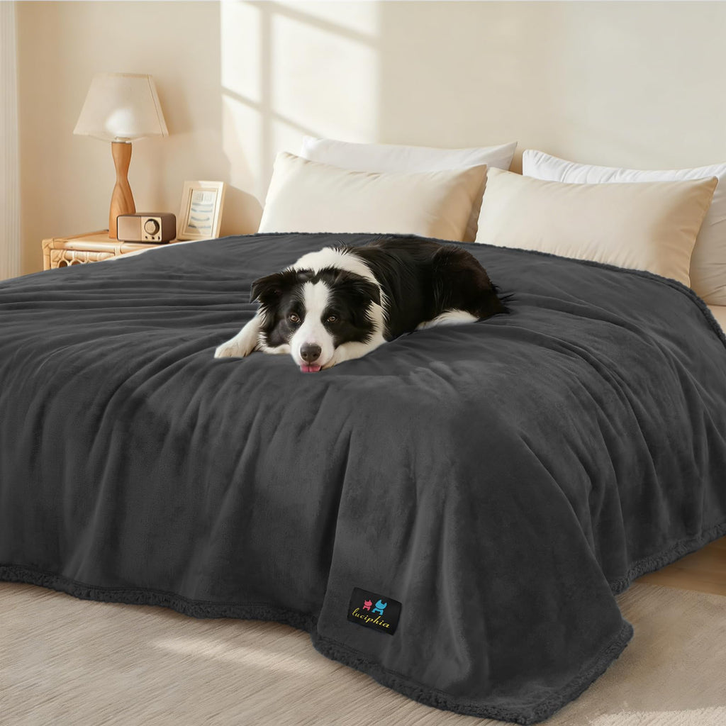 Luciphia Waterproof Pet Blanket - 40x28 Inch Liquid-Proof Couch Cover, Reversible Sherpa Fleece Furniture Protector for Dogs and Cats