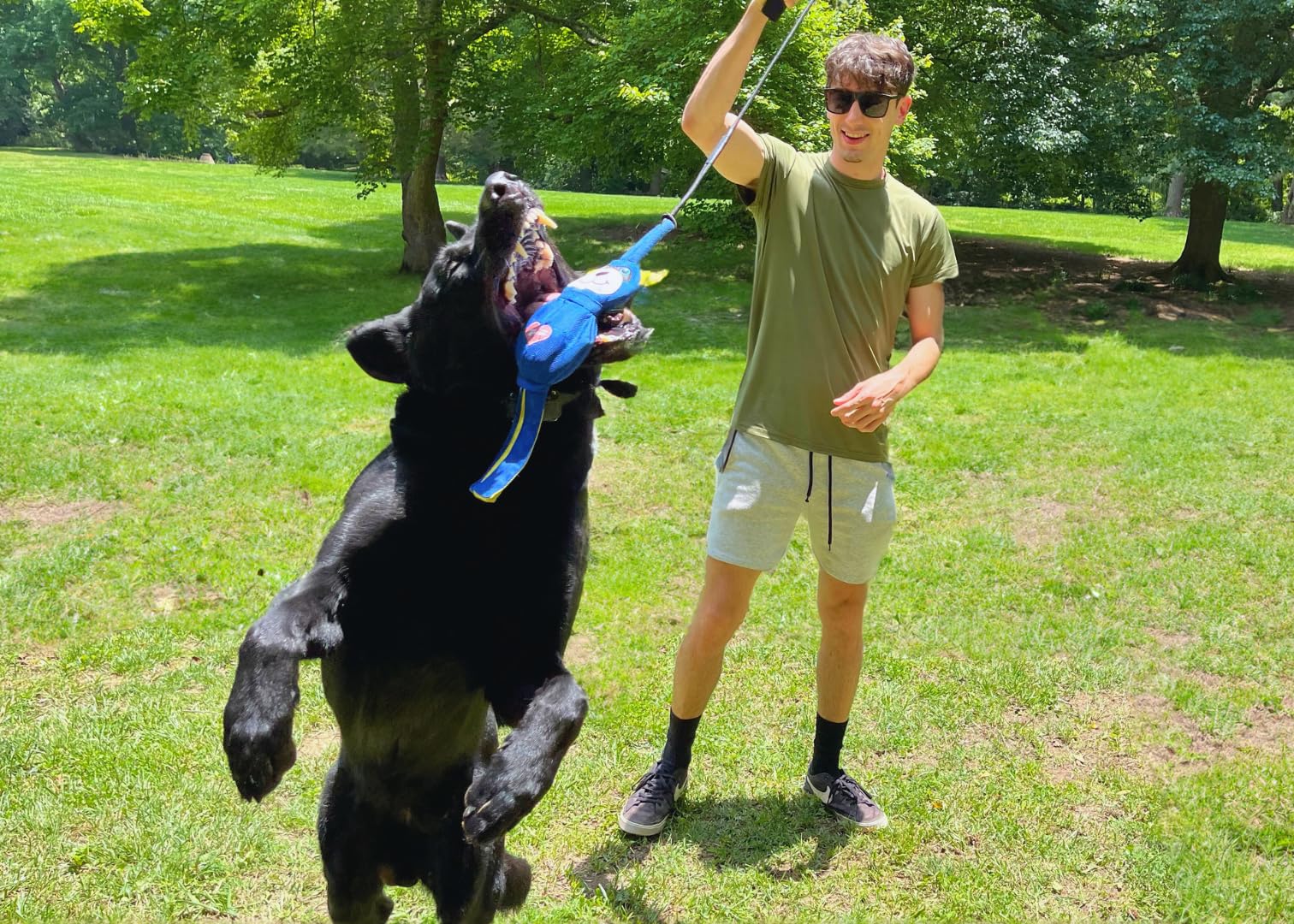 LUCOLOVE Flirt Pole Replacement Toy - Multi-Sensory Tough Tug Toy for Dogs (Raccoon)