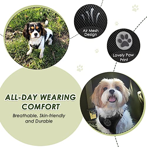 Lukovee 2-in-1 Dog Car Harness and Seat Belt – Mesh Vest with Elastic Tether for Small to Large Dogs (Black, Medium)