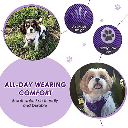 Lukovee Dog Car Harness Size Large Purple - Adjustable Mesh Vest with Seatbelt Tether