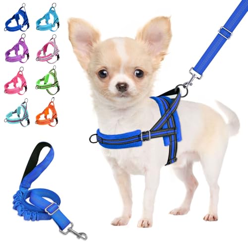 Lukovee No Pull Dog Harness and Leash Set, Blue, Size M – Adjustable, Reflective, Soft Padded for Small Dogs