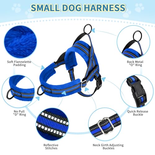 Lukovee No Pull Dog Harness and Leash Set, Blue, Size M – Adjustable, Reflective, Soft Padded for Small Dogs