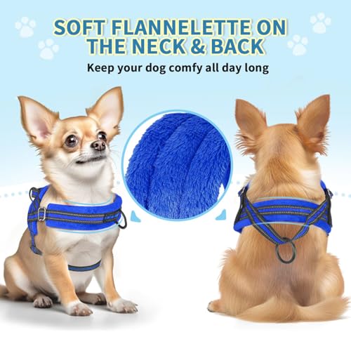Lukovee No Pull Dog Harness and Leash Set, Blue, Size M – Adjustable, Reflective, Soft Padded for Small Dogs
