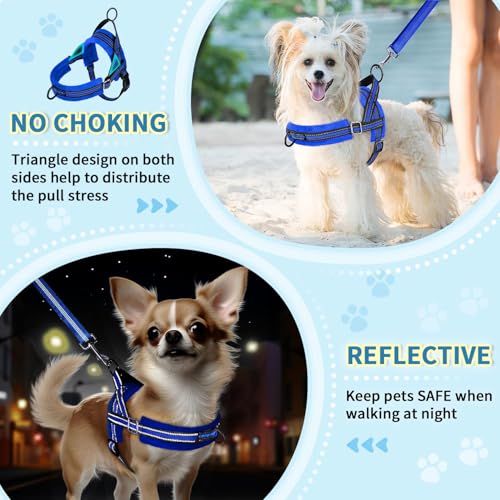 Lukovee No Pull Dog Harness and Leash Set, Blue, Size M – Adjustable, Reflective, Soft Padded for Small Dogs