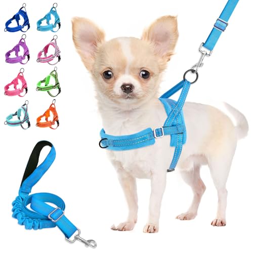 Lukovee No Pull Dog Harness and Leash Set for Small Dogs - Soft Padded Adjustable Vest with Reflective Strips and Bungee Leash (Light Blue, Size S)