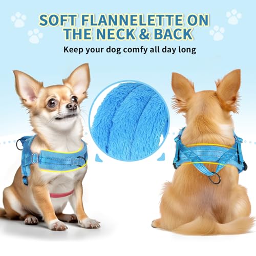Lukovee No Pull Dog Harness and Leash Set for Small Dogs - Soft Padded Adjustable Vest with Reflective Strips and Bungee Leash (Light Blue, Size S)