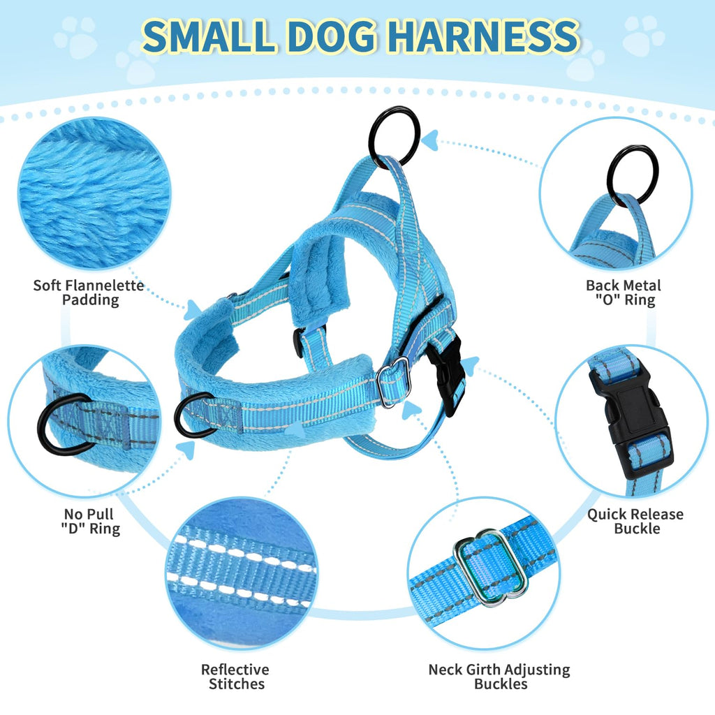 Lukovee No Pull Dog Harness and Leash Set for Small Dogs - Soft Padded Adjustable Vest with Reflective Strips and Bungee Leash (Light Blue, Size S)