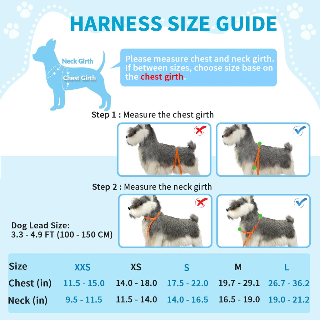 Lukovee No Pull Dog Harness and Leash Set for Small Dogs - Soft Padded Adjustable Vest with Reflective Strips and Bungee Leash (Light Blue, Size S)