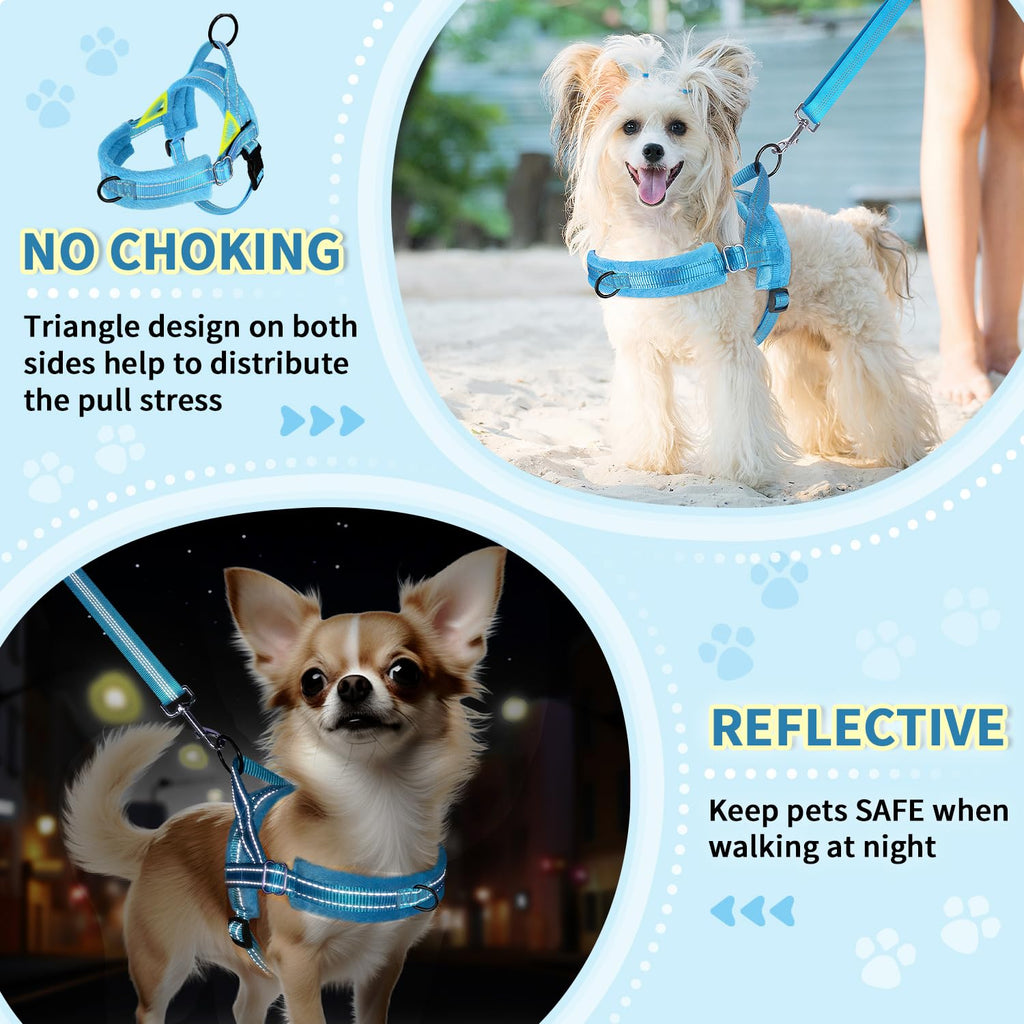 Lukovee No Pull Dog Harness and Leash Set for Small Dogs - Soft Padded Adjustable Vest with Reflective Strips and Bungee Leash (Light Blue, Size S)