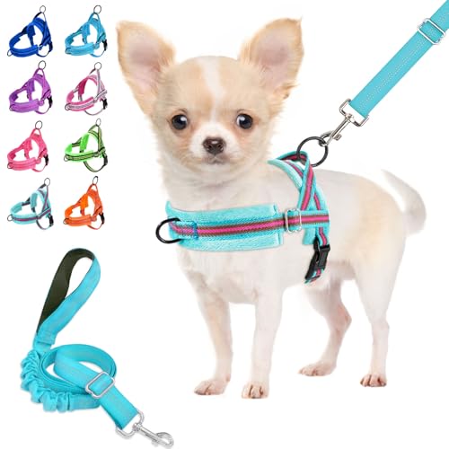 Lukovee No Pull Dog Harness and Leash Set for Small Dogs - XS Light Blue