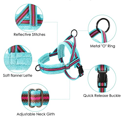 Lukovee No Pull Dog Harness and Leash Set for Small Dogs - XS Light Blue