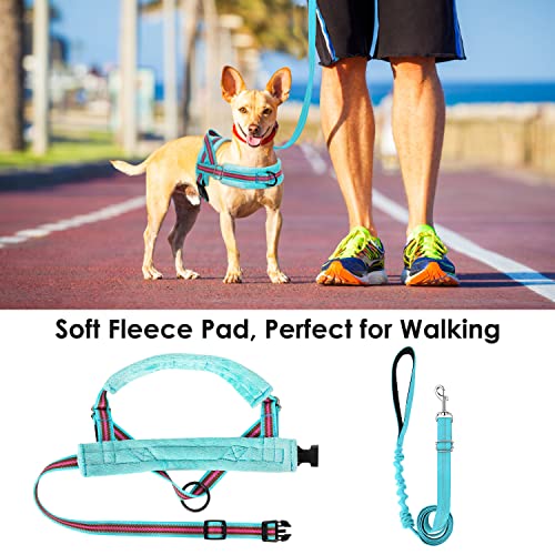 Lukovee No Pull Dog Harness and Leash Set for Small Dogs - XS Light Blue
