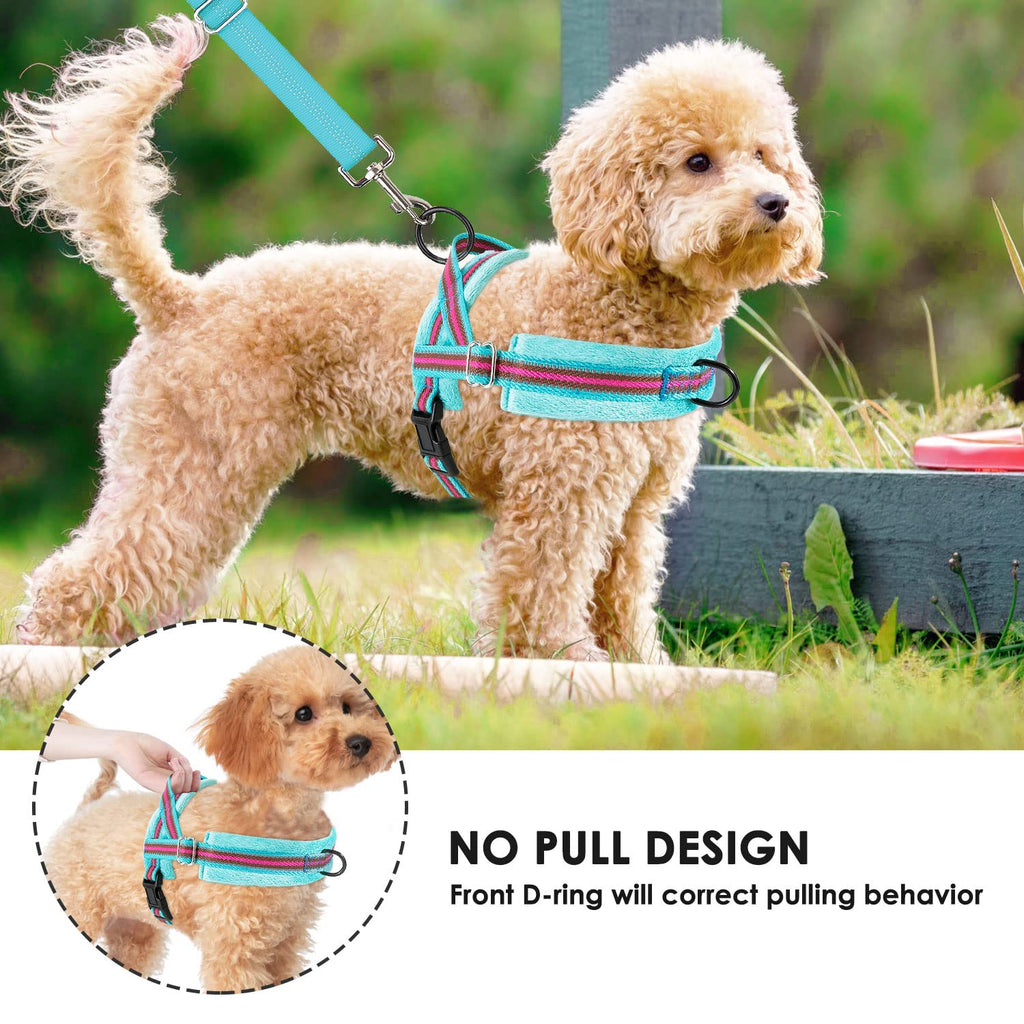 Lukovee No Pull Dog Harness and Leash Set for Small Dogs - XS Light Blue
