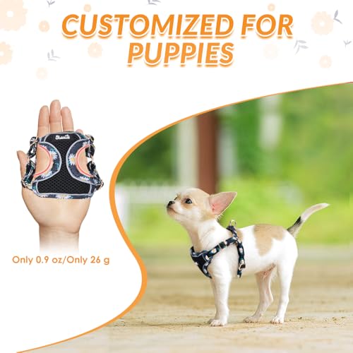 Lukovee No Pull Puppy Harness and Leash Set - Lightweight Step-in Vest with Reflective Strips for Small Dogs (Black, S)
