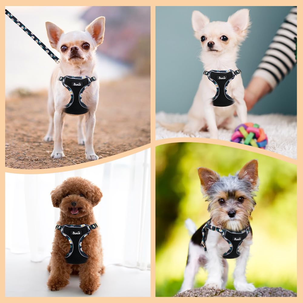 Lukovee No Pull Puppy Harness and Leash Set - Lightweight Step-in Vest with Reflective Strips for Small Dogs (Black, S)
