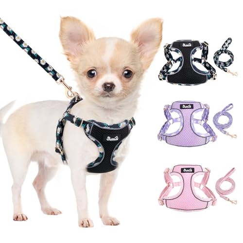 Lukovee No Pull Puppy Harness and Leash Set - Lightweight Step-in Vest with Reflective Strips for Small Dogs (Black, S)