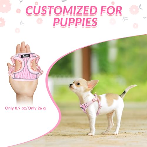 Lukovee No Pull Puppy Harness and Leash Set in Pink XXS (2.2-6 lb) - Ultra-Light 0.9oz Breathable Mesh Step-in Vest with 51in Reflective Leash for Small Dogs
