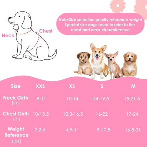 Lukovee No Pull Puppy Harness and Leash Set in Pink XXS (2.2-6 lb) - Ultra-Light 0.9oz Breathable Mesh Step-in Vest with 51in Reflective Leash for Small Dogs