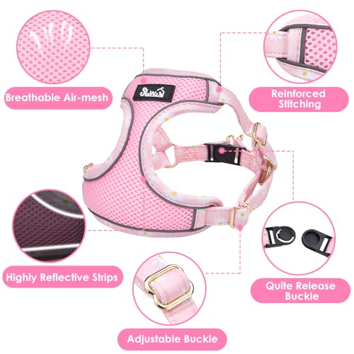Lukovee No Pull Puppy Harness and Leash Set in Pink XXS (2.2-6 lb) - Ultra-Light 0.9oz Breathable Mesh Step-in Vest with 51in Reflective Leash for Small Dogs
