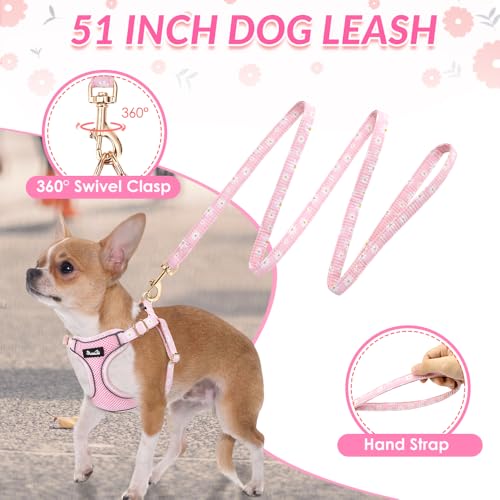 Lukovee No Pull Puppy Harness and Leash Set in Pink XXS (2.2-6 lb) - Ultra-Light 0.9oz Breathable Mesh Step-in Vest with 51in Reflective Leash for Small Dogs