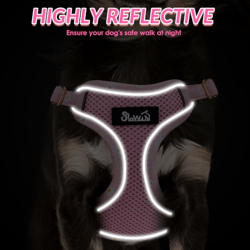 Lukovee No Pull Puppy Harness and Leash Set in Pink XXS (2.2-6 lb) - Ultra-Light 0.9oz Breathable Mesh Step-in Vest with 51in Reflective Leash for Small Dogs