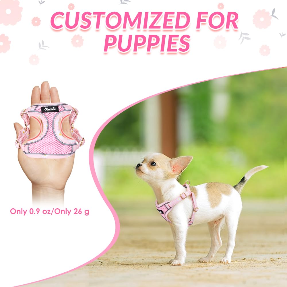 Lukovee No Pull Puppy Harness and Leash Set in Pink XXS (2.2-6 lb) - Ultra-Light 0.9oz Breathable Mesh Step-in Vest with 51in Reflective Leash for Small Dogs