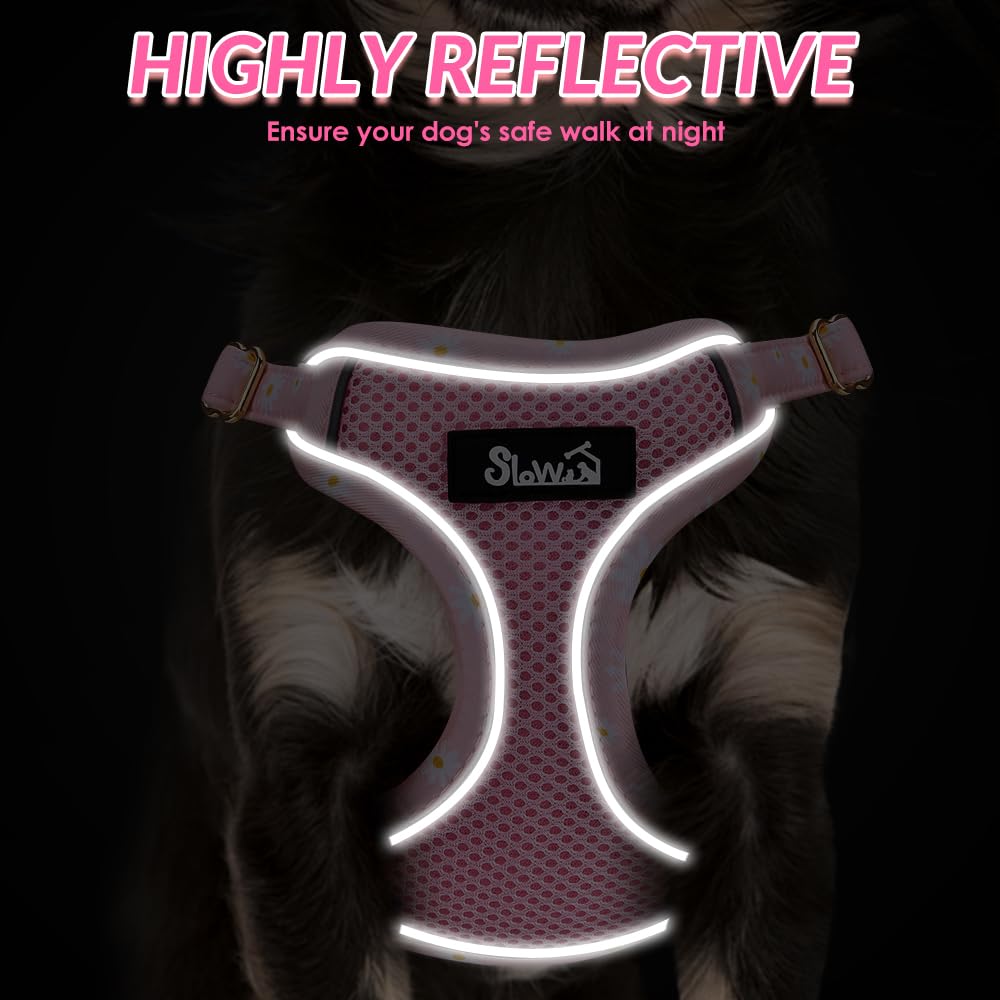 Lukovee No Pull Puppy Harness and Leash Set in Pink XXS (2.2-6 lb) - Ultra-Light 0.9oz Breathable Mesh Step-in Vest with 51in Reflective Leash for Small Dogs