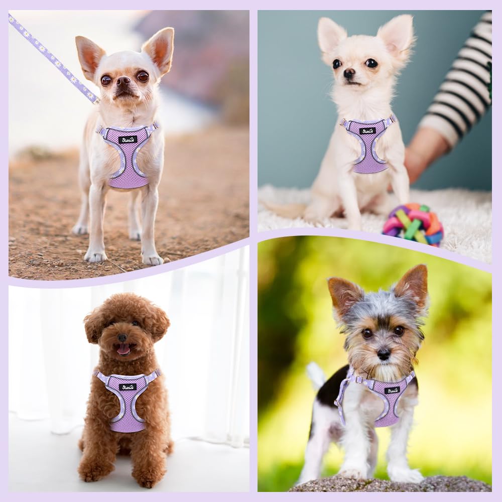 Lukovee No Pull Puppy Harness and Leash Set in Pink XXS (2.2-6 lb) - Ultra-Light 0.9oz Breathable Mesh Step-in Vest with 51in Reflective Leash for Small Dogs