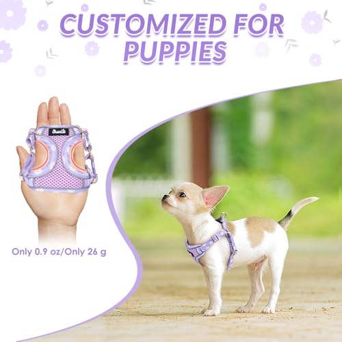 Lukovee No Pull Puppy Harness and Leash Set – Lightweight Adjustable Step-In Vest with Reflective Strips for Small Dogs, Purple XS