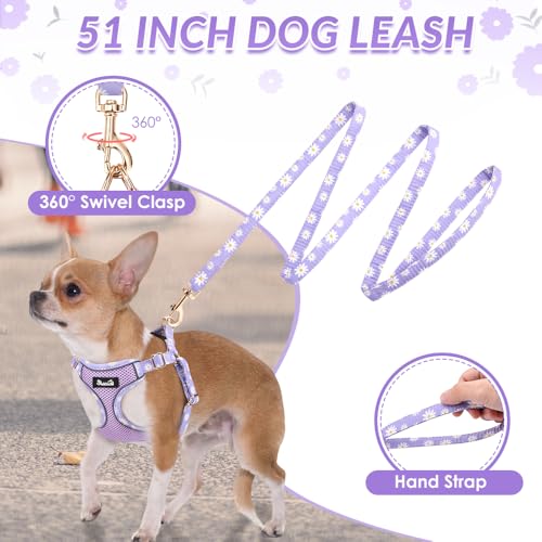 Lukovee No Pull Puppy Harness and Leash Set – Lightweight Adjustable Step-In Vest with Reflective Strips for Small Dogs, Purple XS