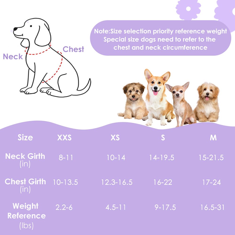 Lukovee No Pull Puppy Harness and Leash Set – Lightweight Adjustable Step-In Vest with Reflective Strips for Small Dogs, Purple XS