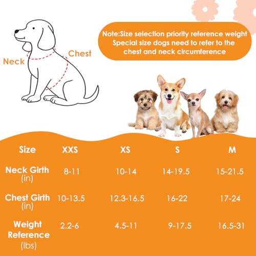 Lukovee No-Pull Puppy Harness & Leash Set – Ultra-Light 0.9oz Breathable Mesh, Reflective Step-In Vest with 51in Leash for Small Dogs (Black, XS)
