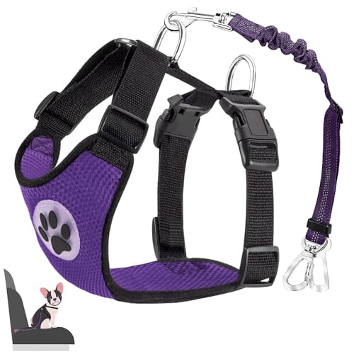 Lukovee Purple X-Small Dog Car Harness with Mesh Vest and Elastic Bungee Tether – 2-in-1 Safety Restraint for Small Dogs