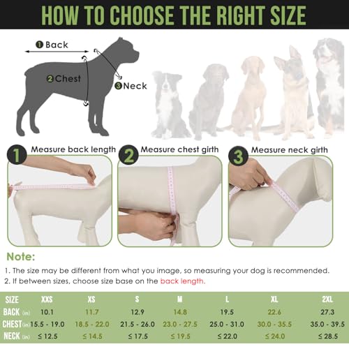 Lukovee Small Dog Raincoat - Lightweight Water-Resistant Poncho with Reflective Stripes and Built-in Storage (Green)