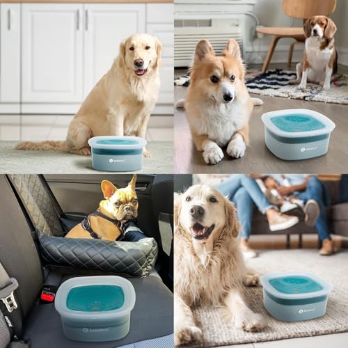LumoLeaf No Spill Water Bowl for Dogs – 70oz Splash-Proof Slow Feeder (Blue)