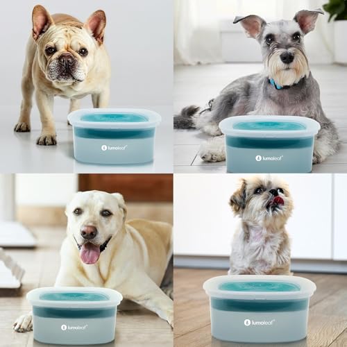 LumoLeaf No Spill Water Bowl for Dogs – 70oz Splash-Proof Slow Feeder (Blue)