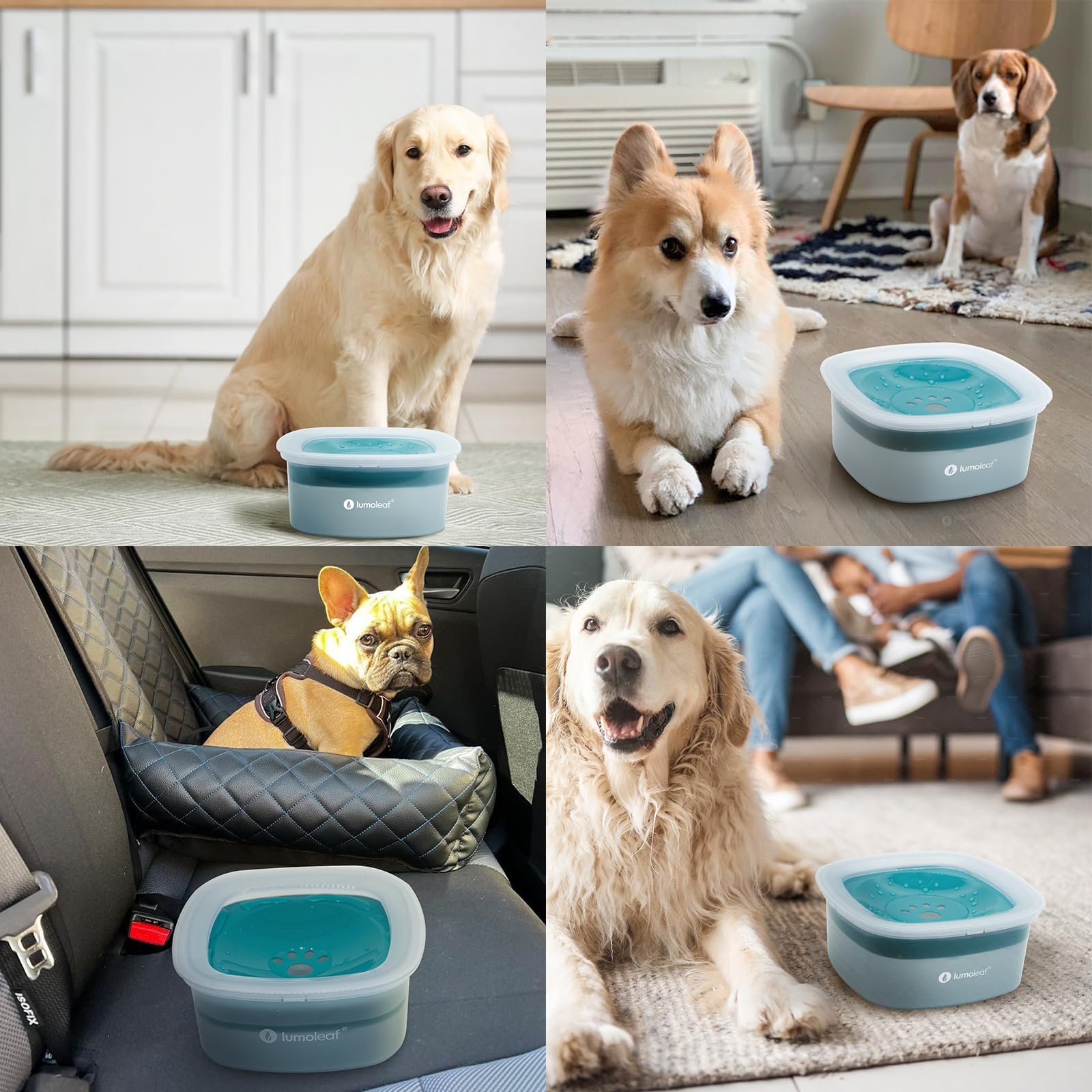 LumoLeaf No Spill Water Bowl for Dogs – 70oz Splash-Proof Slow Feeder (Blue)