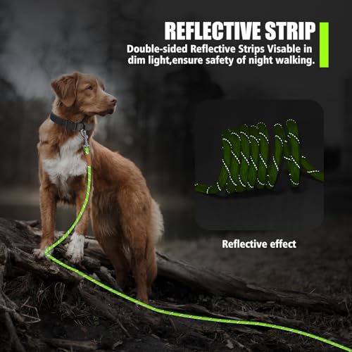 Lynxking Reflective Long Dog Leash 50ft x 3/8in - Heavy Duty Check Cord with Padded Handle for Training and Night Walks