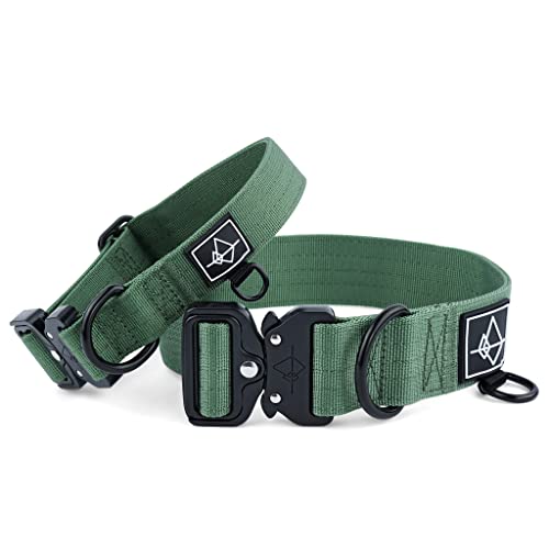 Made to ROAM Premium Dog Collar - Heavy Duty Nylon, Quick-Release Buckle, Oregon Haze
