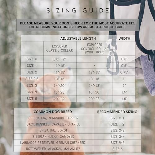 Made to ROAM Premium Dog Collar - Heavy Duty Nylon, Quick-Release Buckle, Oregon Haze