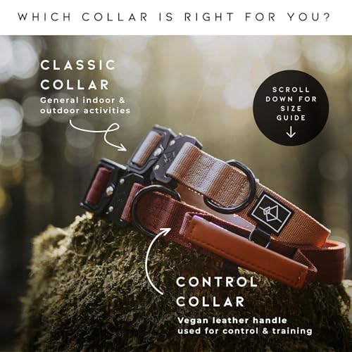Made to ROAM Premium Dog Collar - Heavy Duty Nylon, Quick-Release Buckle, Oregon Haze