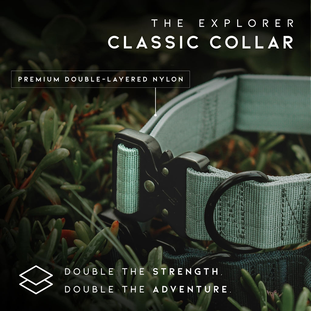 Made to ROAM Premium Dog Collar - Heavy Duty Nylon with Quick-Release Buckle, Carolina Blooms